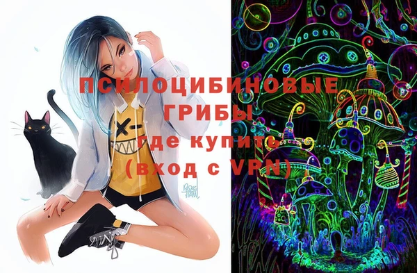 шишки Белоозёрский