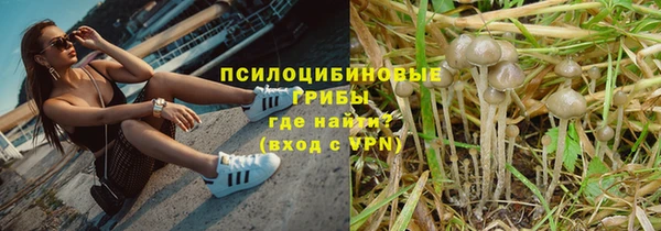 a pvp Беломорск
