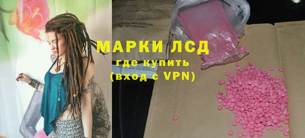 шишки Белоозёрский