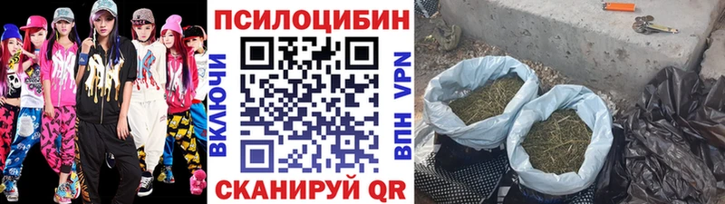 KRAKEN онион  Верхняя Тура  Галлюциногенные грибы мицелий 