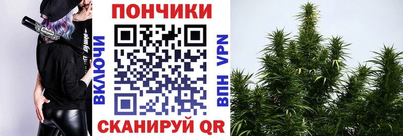 купить наркоту  Верхняя Тура  МАРИХУАНА OG Kush 